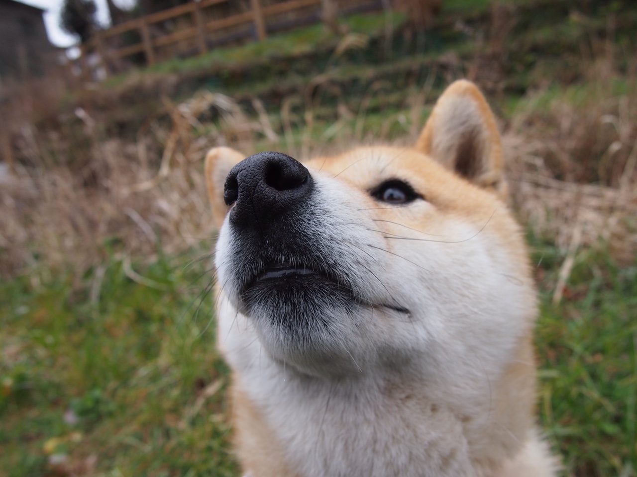 德国女子78公斤级柔道选手在比赛中获得第十一名，德国柔道选手硬核热身