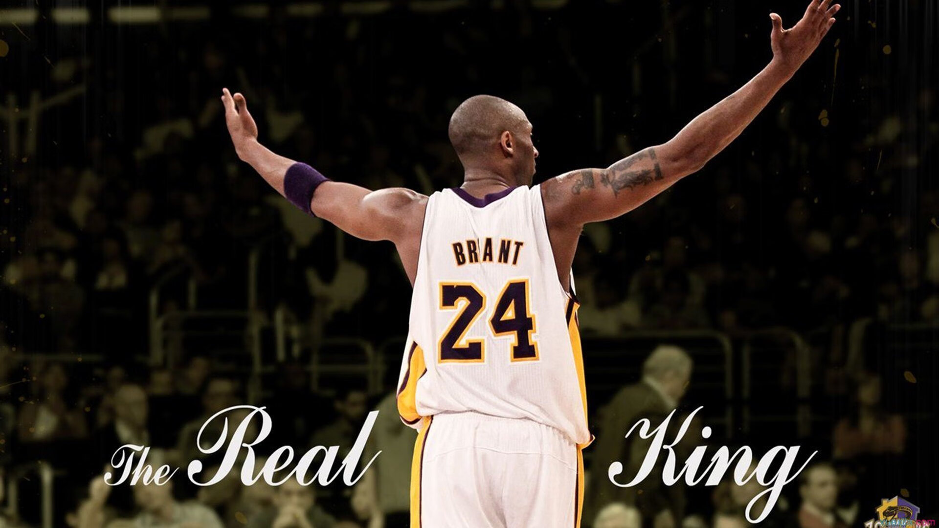 霍特·巴雷特：全黑队的大脑，指挥进攻无可挑剔，霍巴特的历史