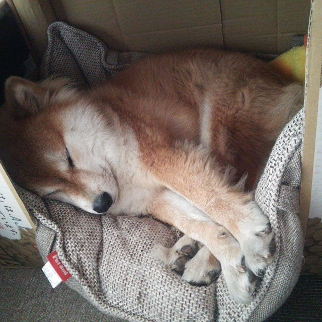 开云体育中国官方网站-《英雄联盟夏季赛，冠军争夺战高潮迭起》，英雄联盟夏季赛omg