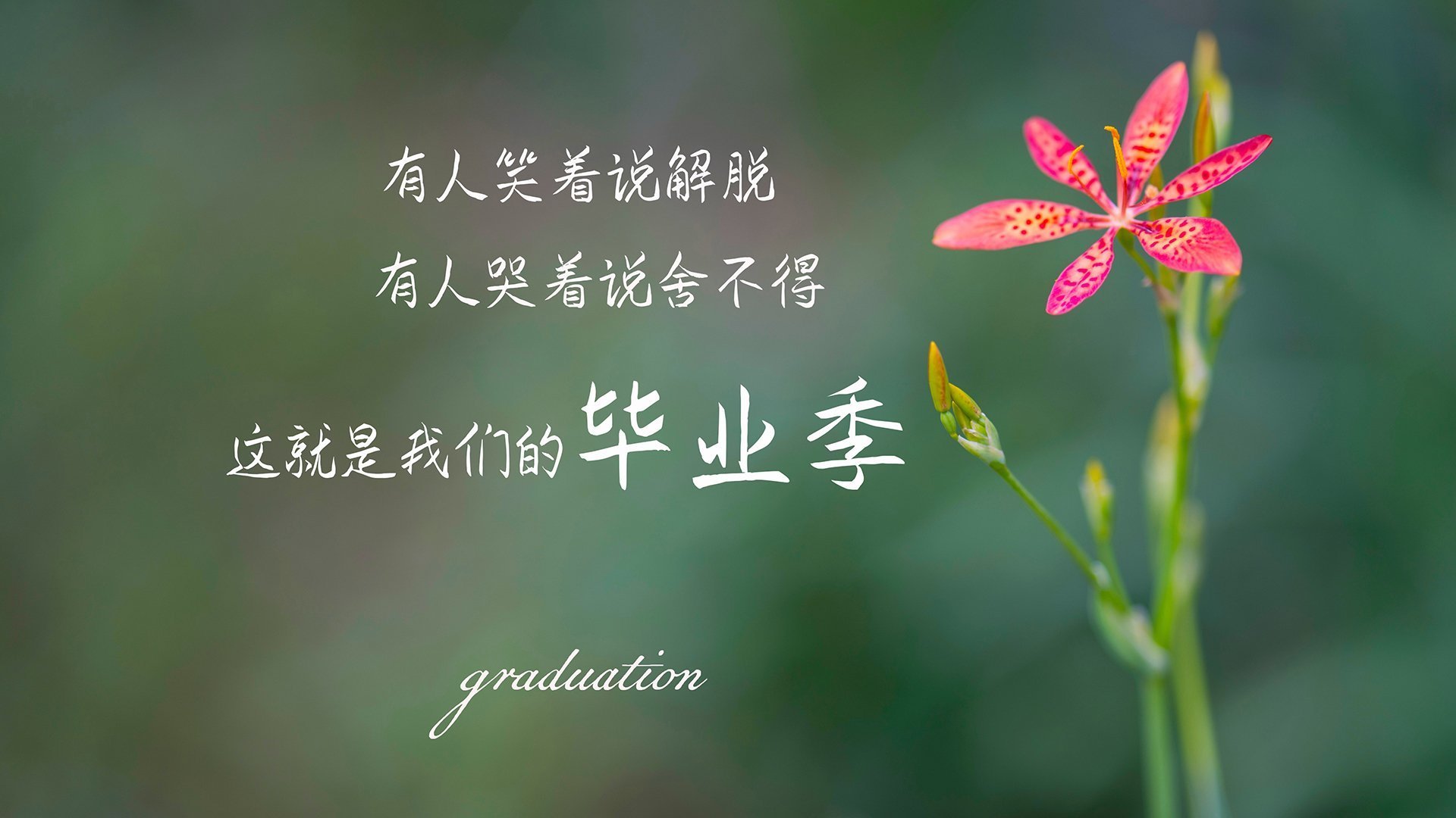 开云体育开云-意甲大战，专家分析关键数据，意甲比赛集锦